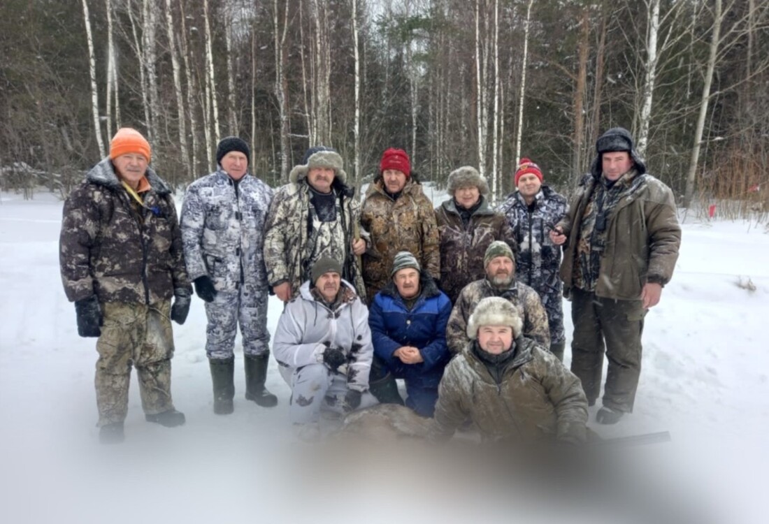 Волчица напала на четырёх домашних собак в Никольском округе