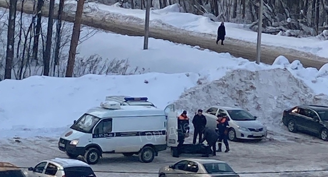 Тело молодого мужчины обнаружено в лесном массиве в Череповце