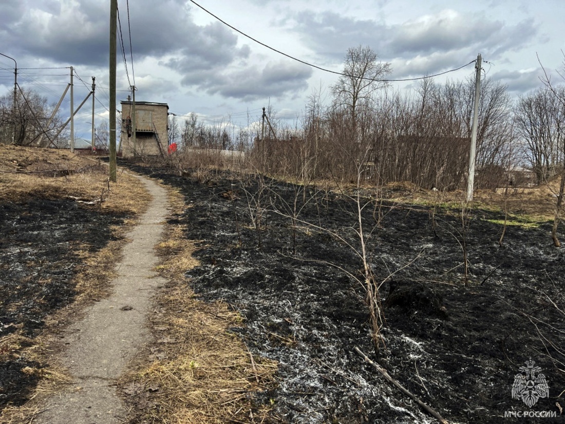 Три пала травы зафиксировано в Вологодской области 