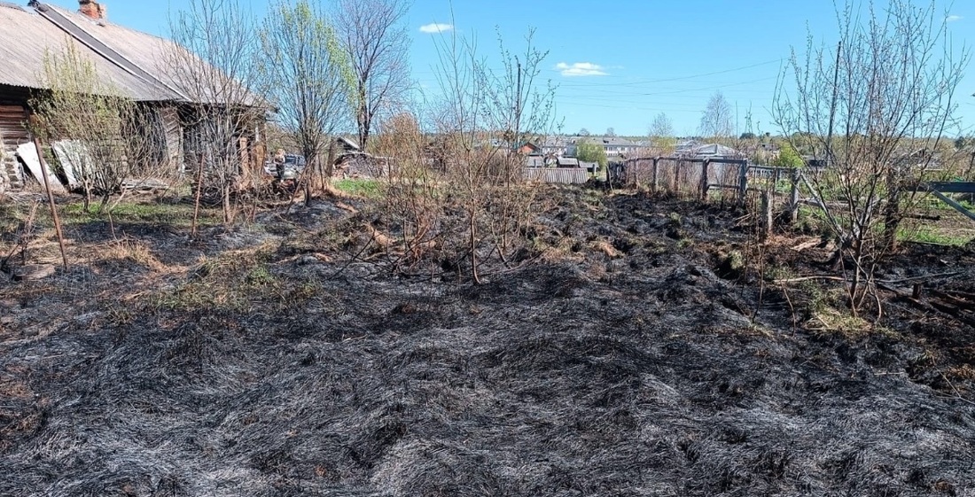 Сжигание мусора привело к палу травы в Вытегорском районе