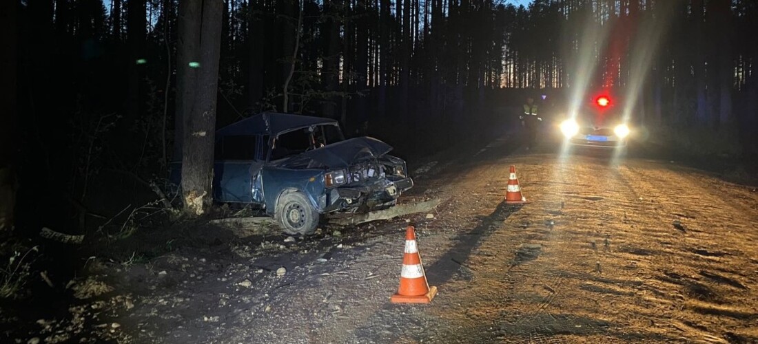 Молодой человек за рулём ВАЗа врезался в дерево под Вытегрой