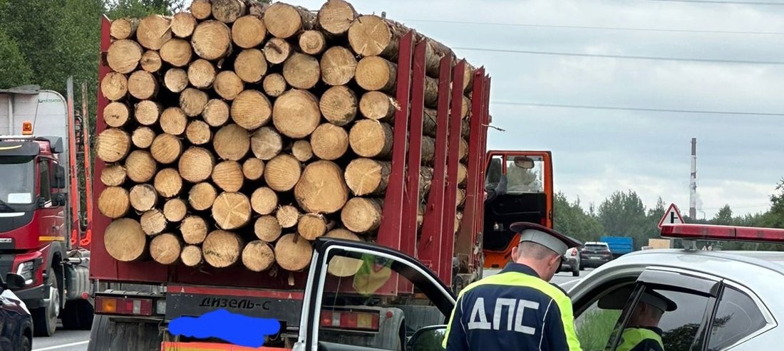 Рейды по выявлению случаев незаконной транспортировки древесины стартовали в Вологодской области