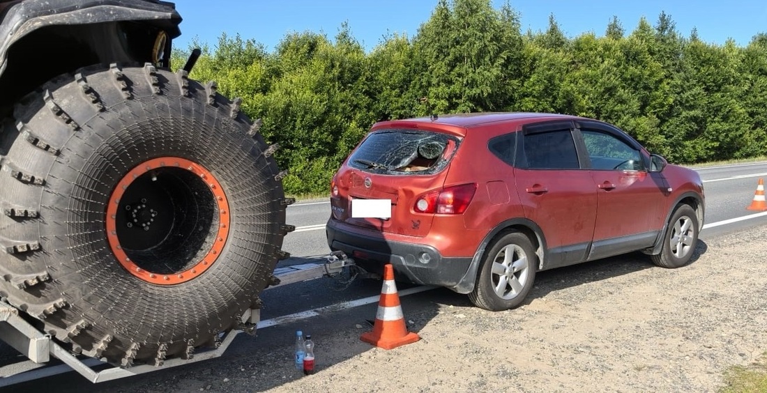 Пешеход погиб под колёсами снегоболотохода в Вытегорском районе