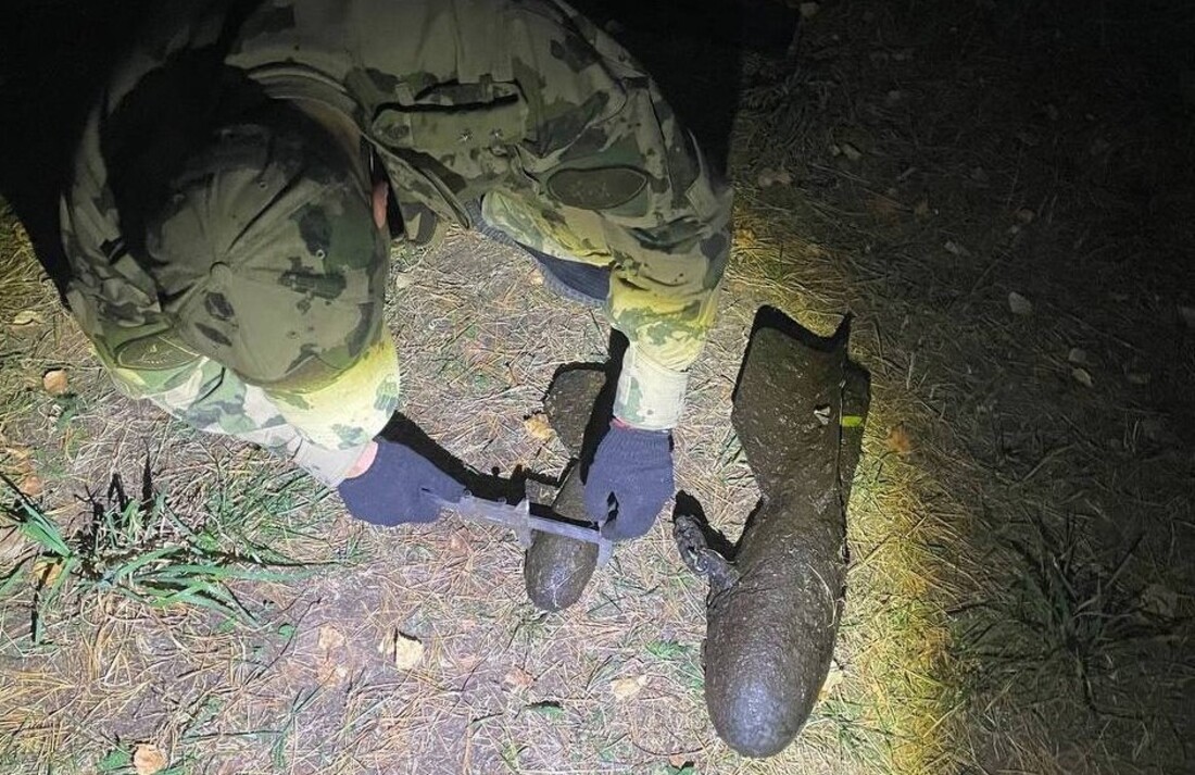 Боеприпасы времён ВОВ обнаружили под Кадуем