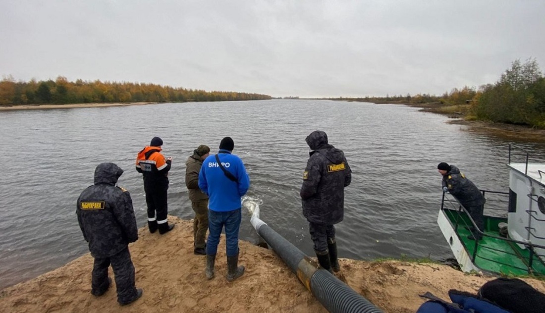 Сразу 12 тысяч мальков сига выпустили в Онежское озеро