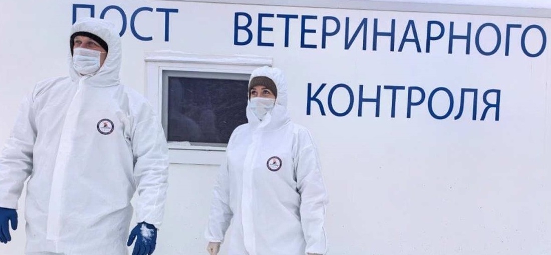 Учения по ликвидации очагов опасных инфекций животных впервые пройдут в Череповце 