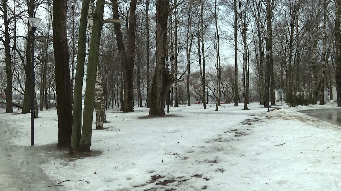 Аномально тёплая зима вновь обновила температурные рекорды в Вологодской области