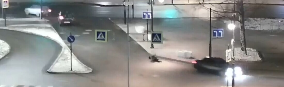 Водитель из Молочного отправится под суд за нападение на инспектора ДПС