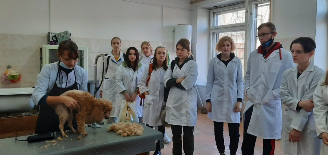 Выпускники 11 классов смогут освоить профессию ветеринарного фельдшера на базе Вологодской ГМХА