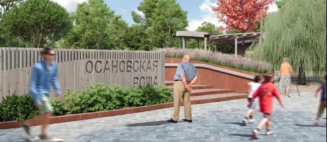 Второй этап благоустройства Осановской рощи начался в Вологде 