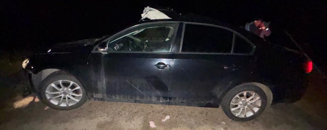4 человека пострадали в аварии с лосем в Сямженском округе