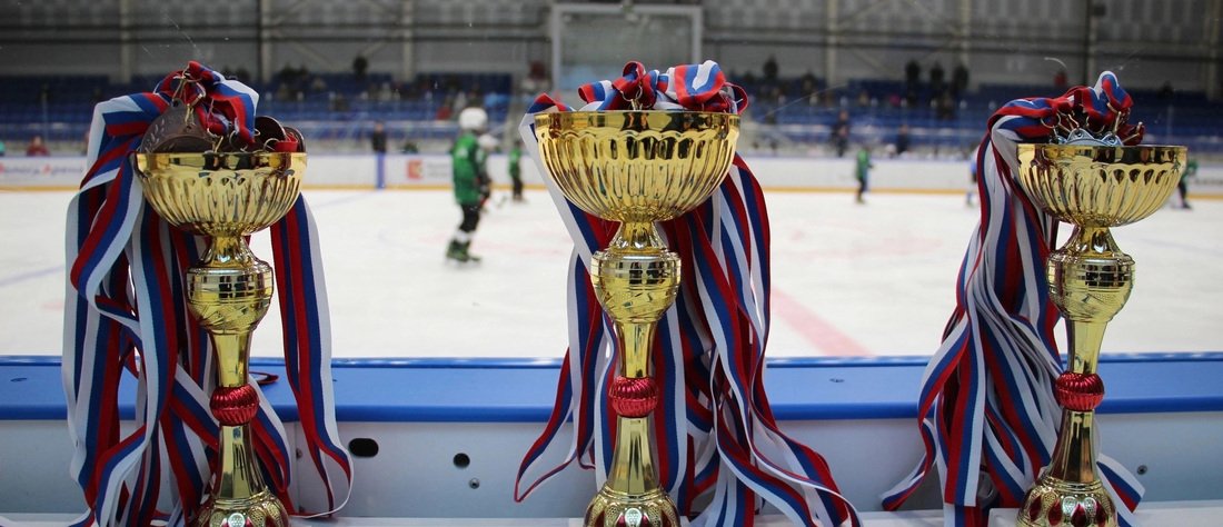 Георгий Филимонов опроверг слухи о закрытии хоккейной секции в Шексне