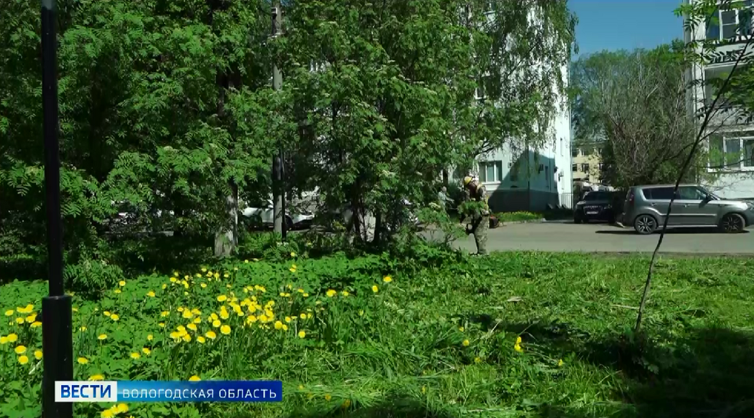 Дополнительный набор в бригады косарей объявлен в Вологде