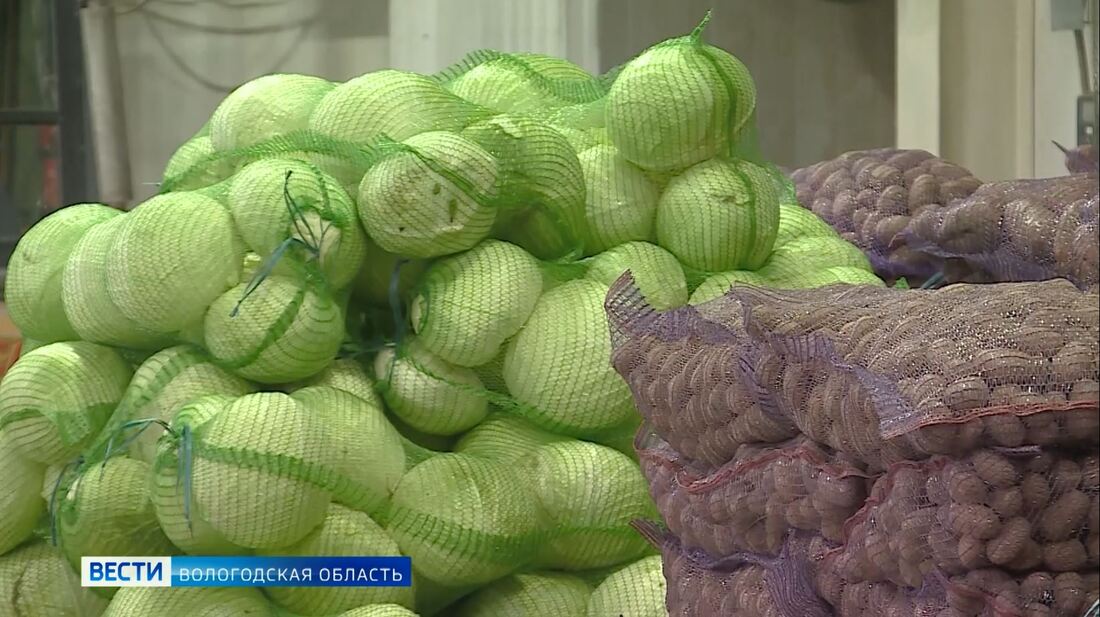 Лучшего овощевода выберут в Вологодской области