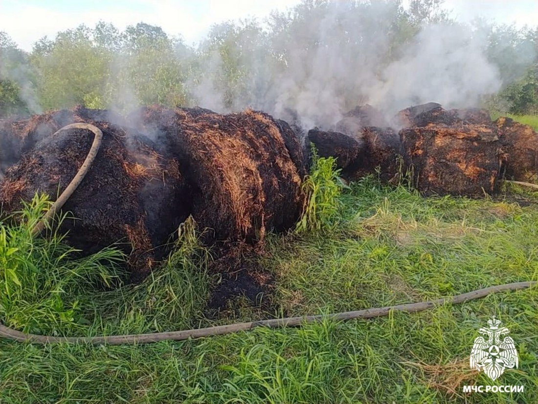 Неизвестные подожгли рулоны сена в Вологодском округе