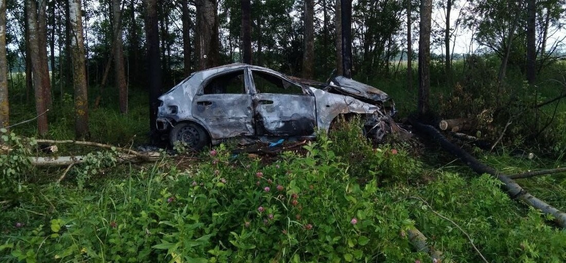 Автомобиль сбил лося и загорелся под Вологдой: водитель погиб