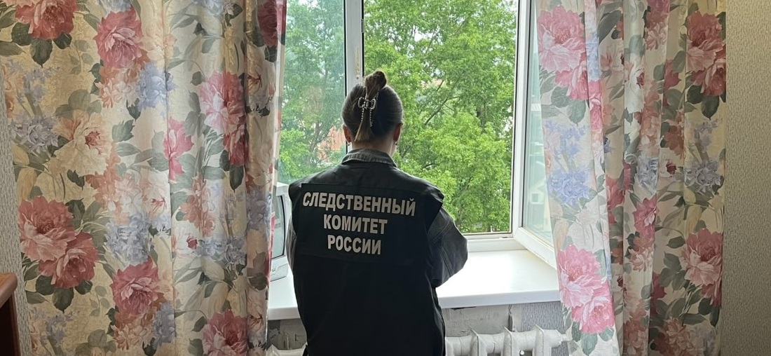  Мать пострадавшей 4-летней девочки пошла под суд в Вологде