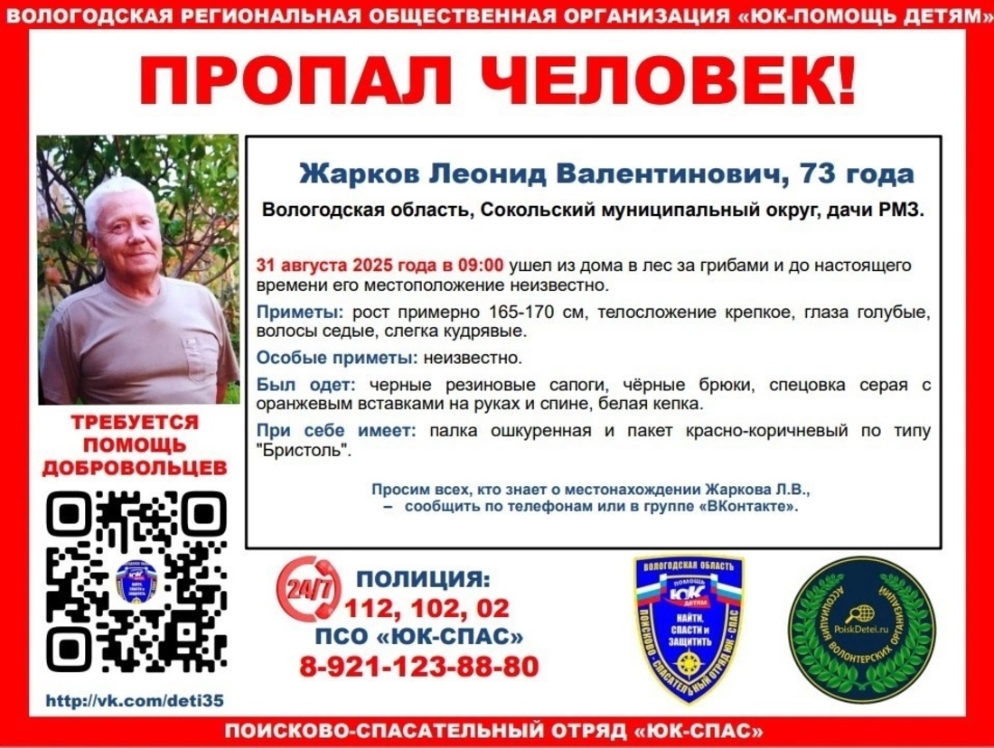Пожилой грибник ушел в лес и не вернулся в Сокольском округе