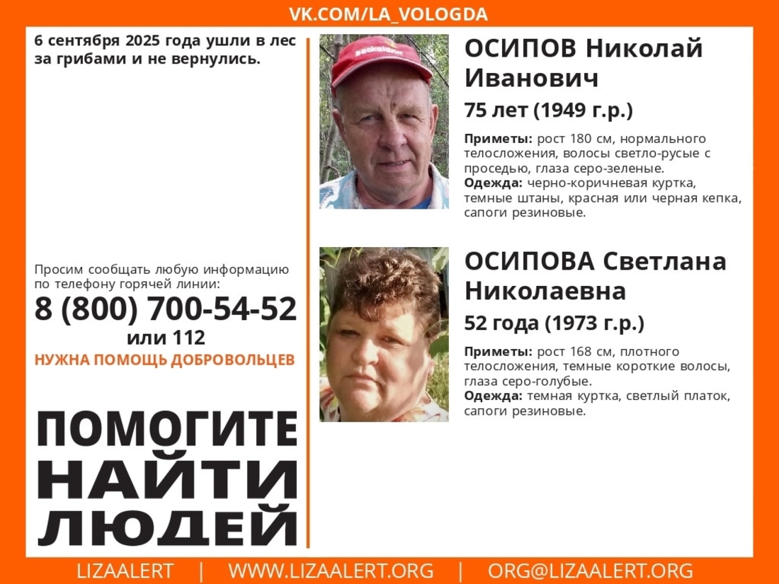 Четыре человека ушли в лес и пропали в Белозерском округе 