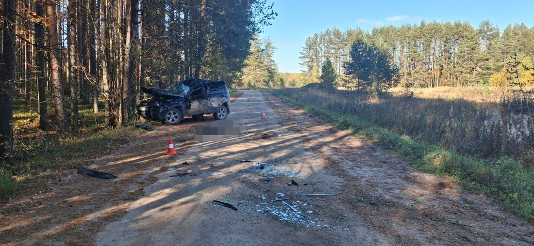 Житель Архангельской области погиб в автомобильной аварии в Верховажье