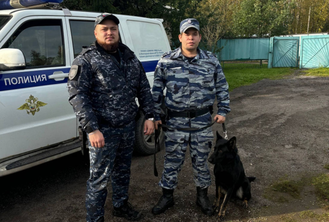 Служебная собака задержала вора в Череповце