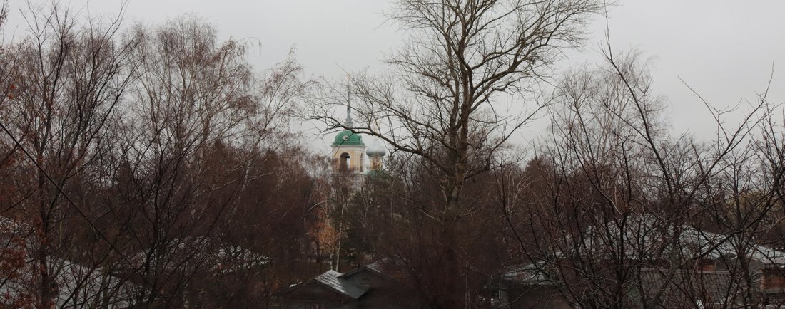 Синоптики предупредили вологжан о ночных заморозках и гололедице