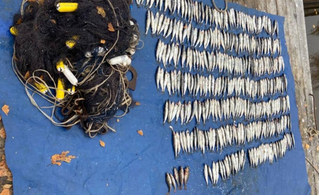 Любителя незаконной рыбалки задержали в Вытегорском округе