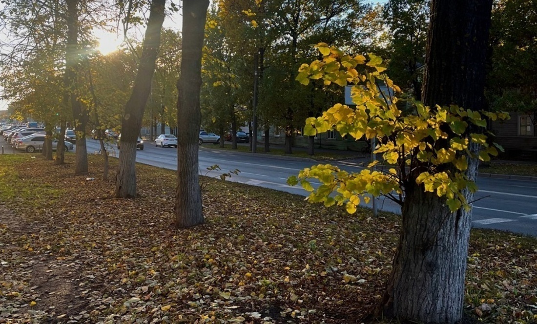 Температурный рекорд 58-летней давности побит в Тотьме