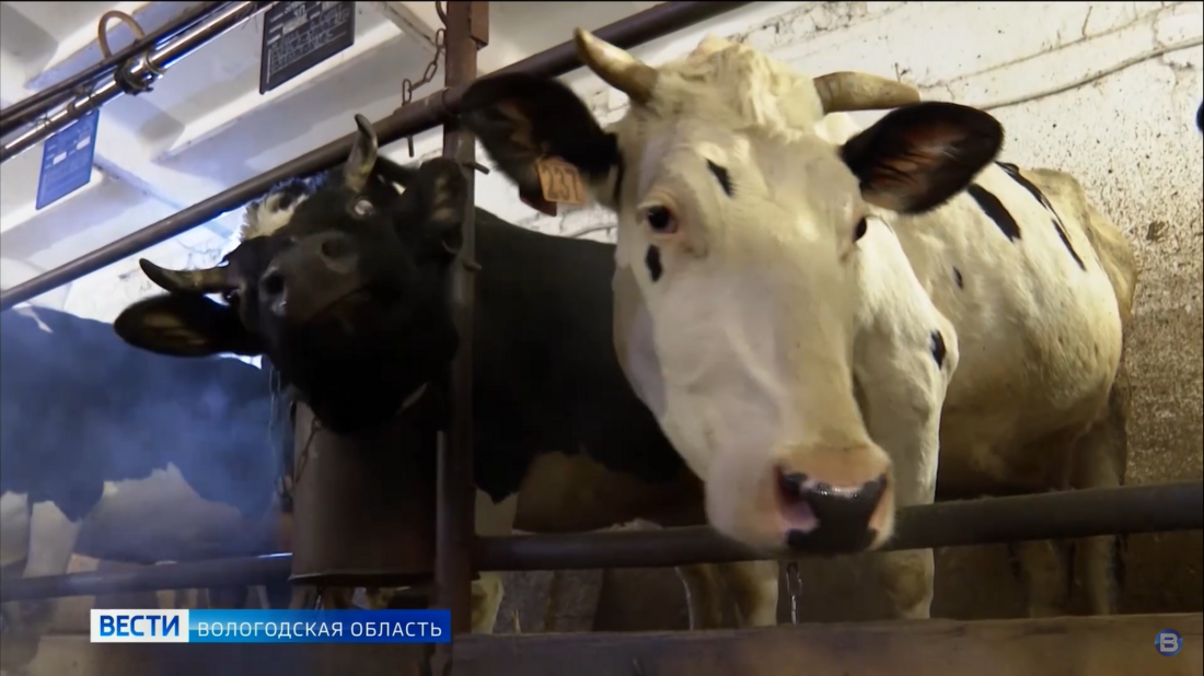 Третий поток школы фермеров стартует в Вологодской области