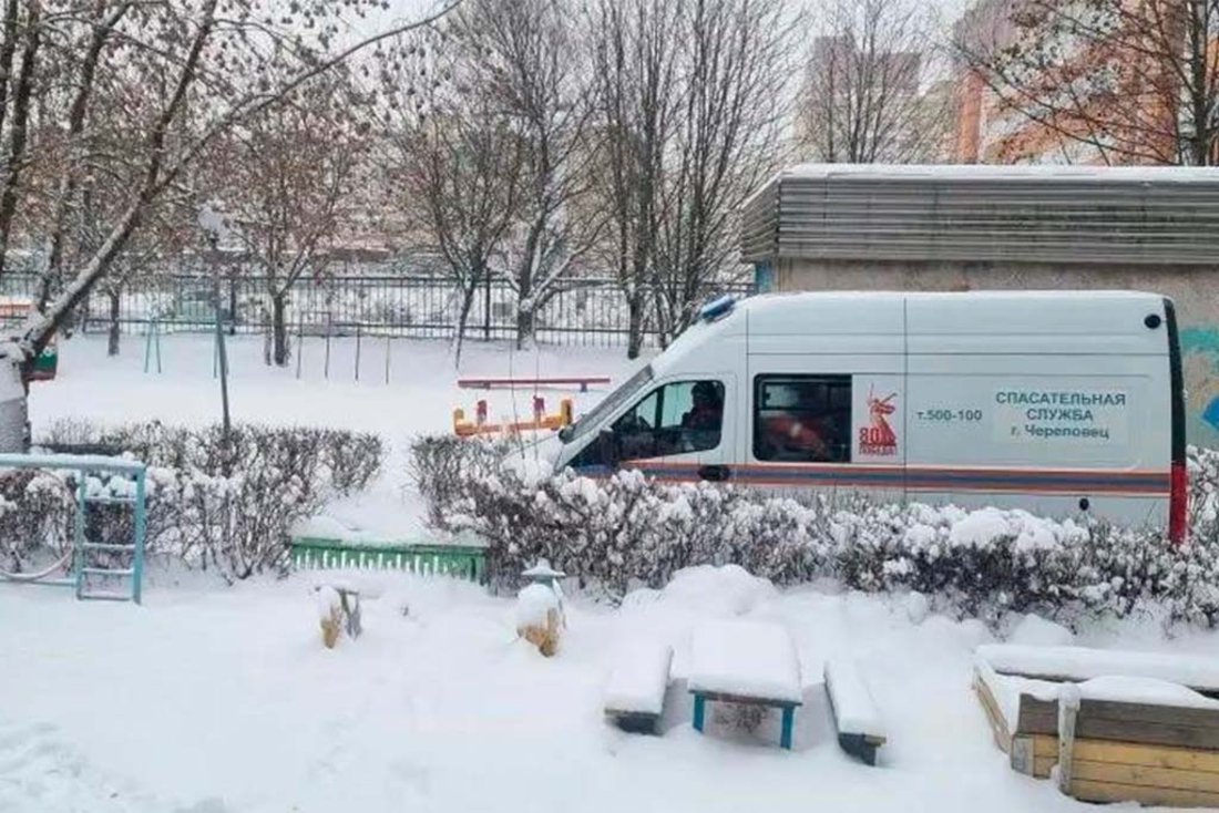 Лиса забралась в подвал детского сада в Череповце