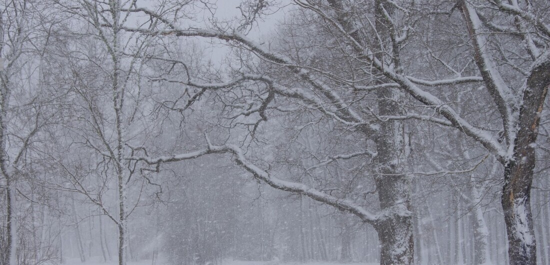 Погодные перемены: похолодание и снегопады ожидают вологжан в ближайшие дни