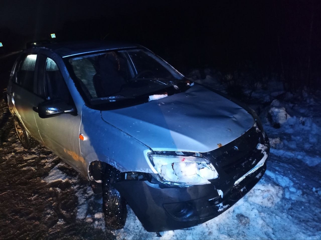 Водитель «Лады» насмерть сбил лося под Вологдой