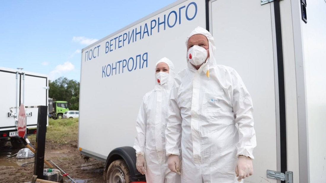 14 учений по борьбе с опасными заболеваниями животных провели в Вологодской области