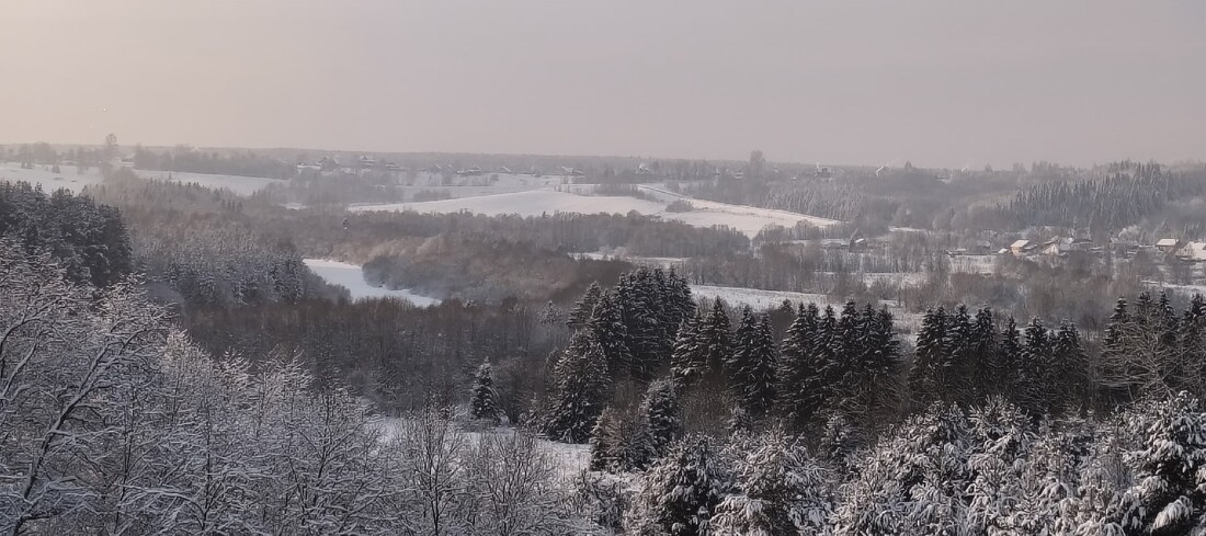 От снегопадов к крещенским морозам: вологодские синоптики рассказали о погоде в ближайшие дни