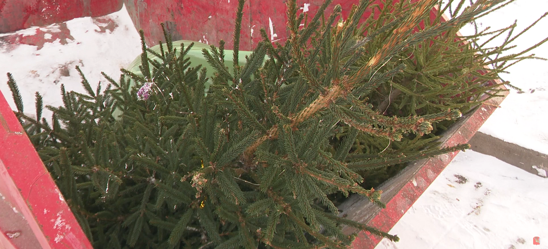 Экологическая акция «дЕльный круговорот» проходит в Вологодской области