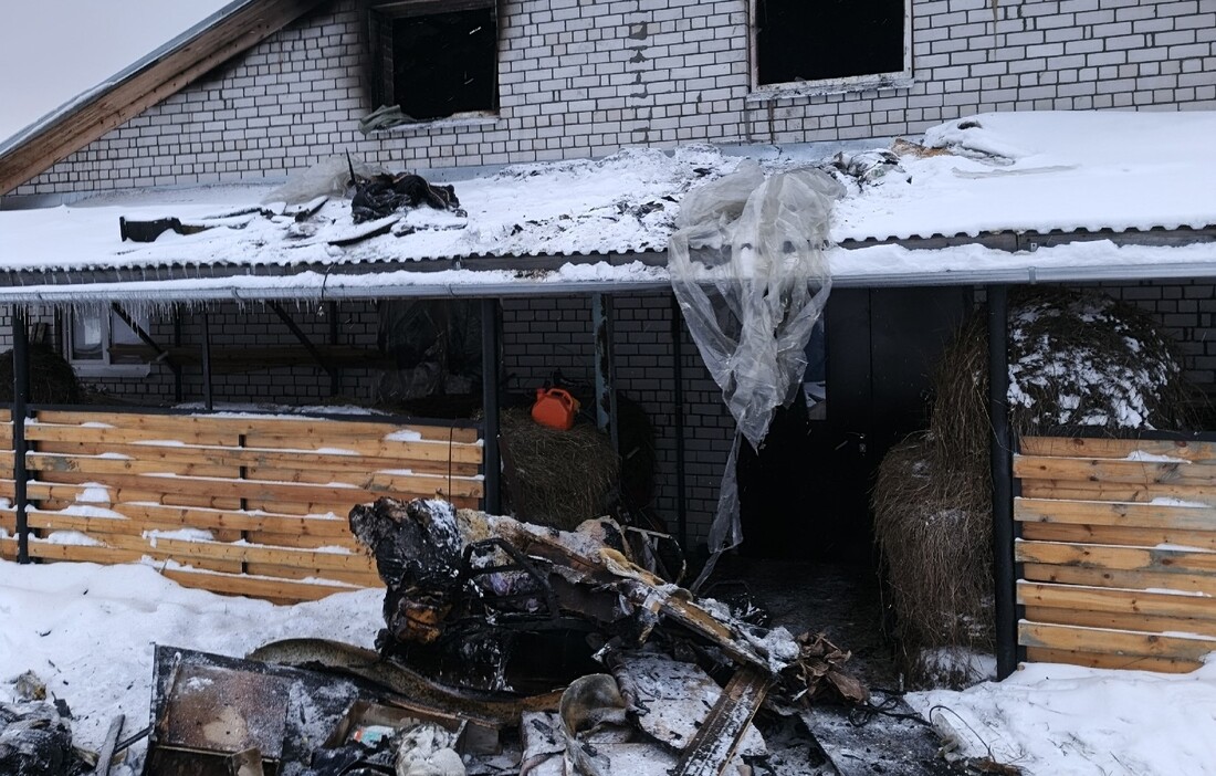 Более тысячи человек восстанавливают сгоревшую конюшню в Вологодском округе