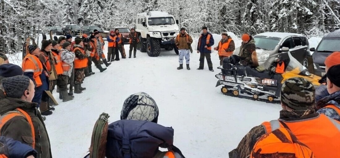 Свыше 230 волков добыто в Вологодской области