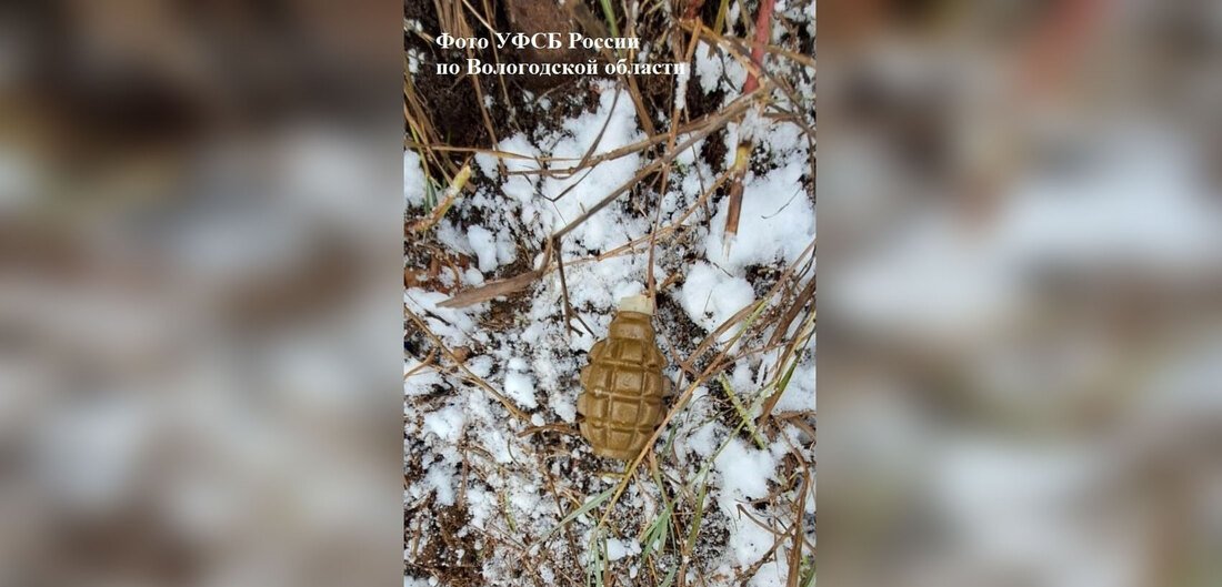 Бабаевец хранил дома найденную в лесу гранату: возбуждено уголовное дело