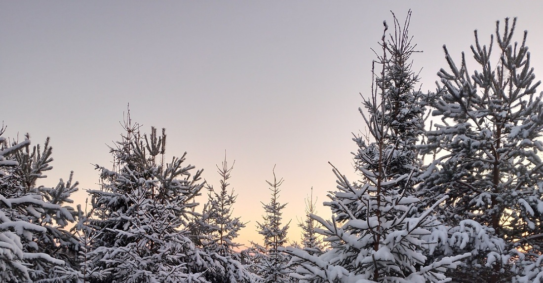 Антициклон сохранит морозную погоду в Вологодской области