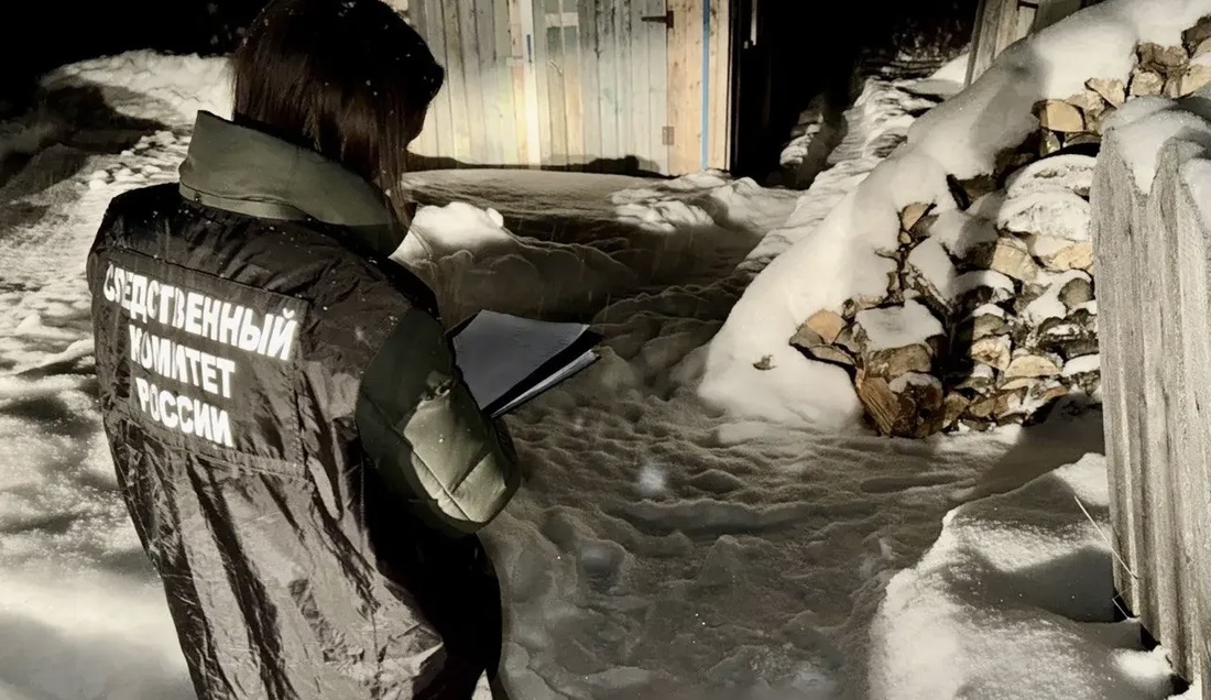 Жестокое убийство произошло в Вытегорском округе 