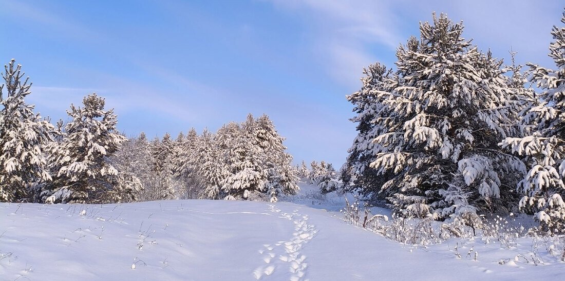 Морозная погода сменится метелью и снегопадом в Вологодской области