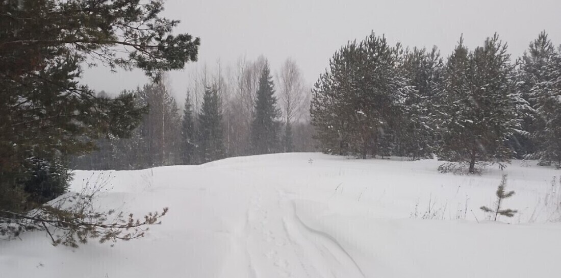 Вологжан предупредили об усилении ветра и сильном снегопаде