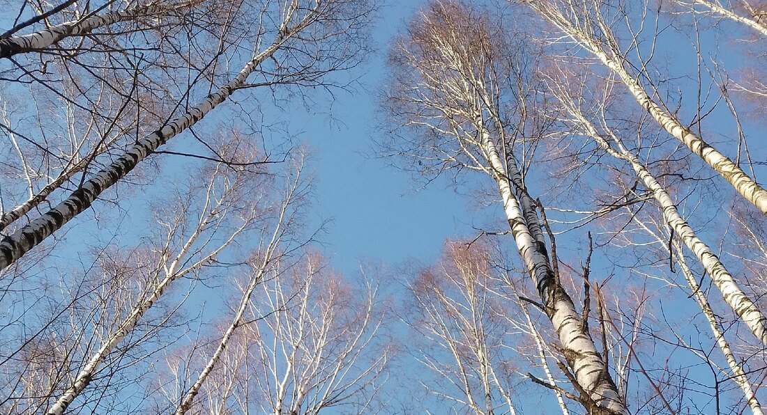 Температурный рекорд 82-летней давности побит в Никольске