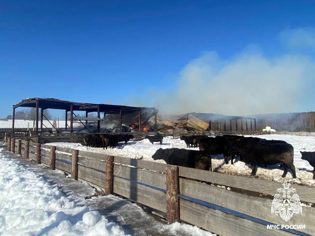 150 тонн сена сгорело на складе в Тарногском округе