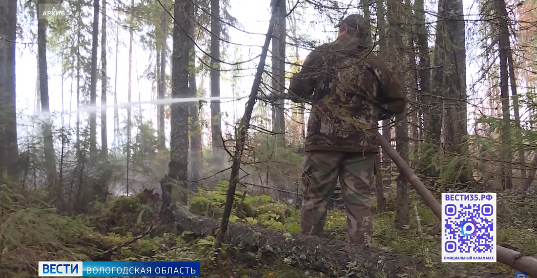 Сводный план тушения лесных пожаров утвердили в Вологодской области