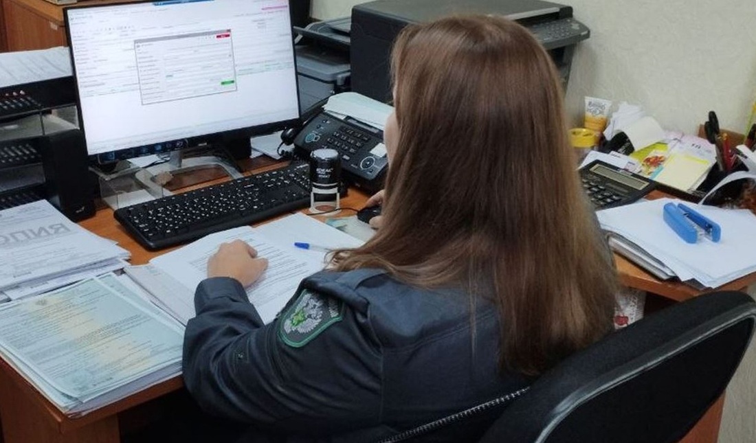 Свыше 200 тонн древесной стружки экспортировала Вологодская область с начала года