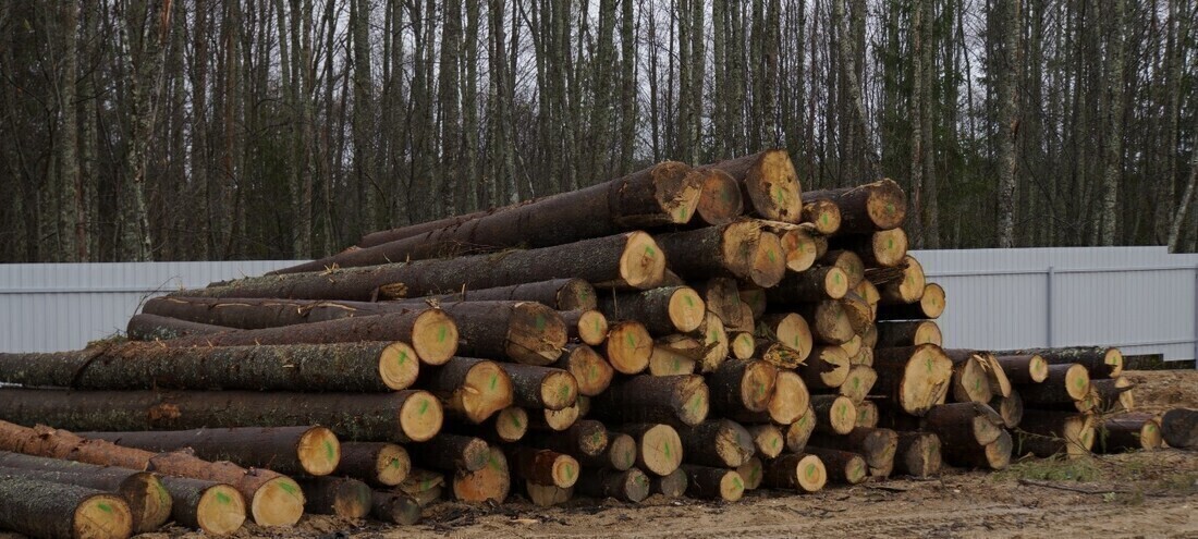 37-летний рабочий получил тяжёлые травмы на лесопилке в Тотемском округе