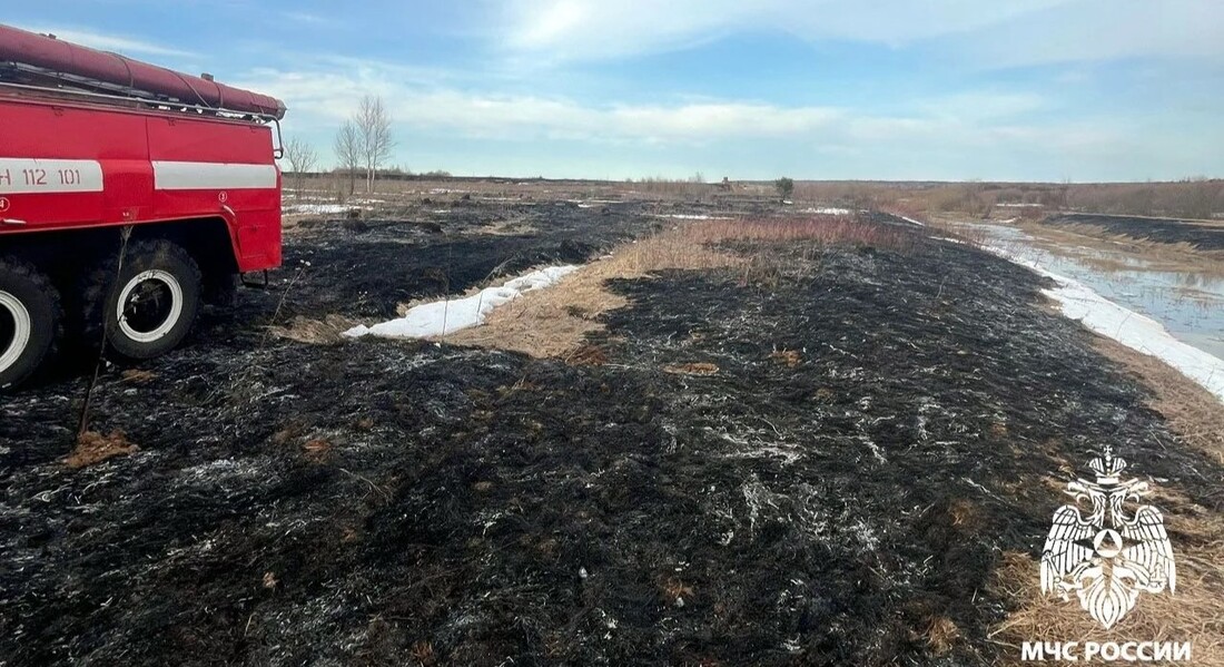 Два пала травы зарегистрированы за минувшие сутки в Вологодской области