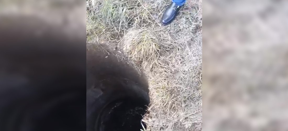 Маленький ребёнок провалился в колодец в Соколе