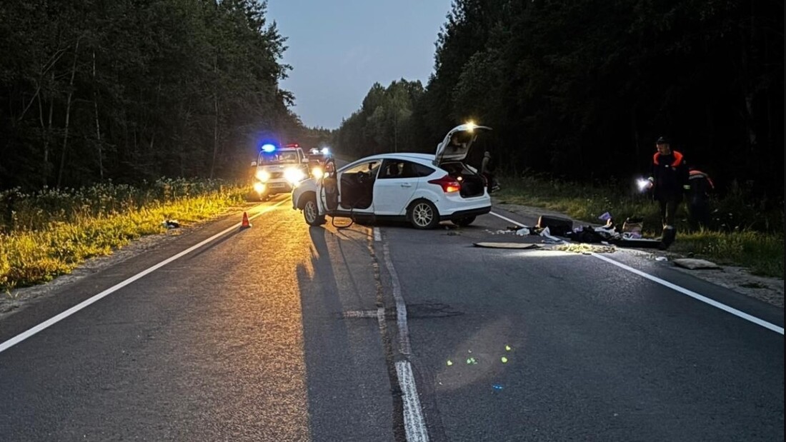 Смертельное ДТП на лесной дороге: водитель из Белозерска осуждён за наезд на лежащего мужчину